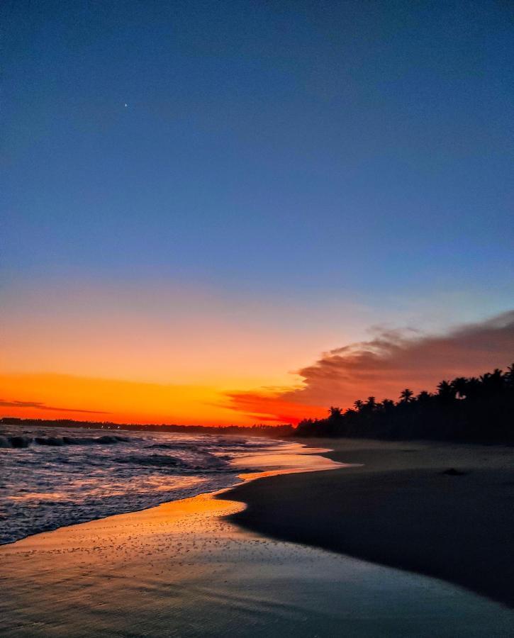 Sleeping Elephant Beach Resort Tangalle Zewnętrze zdjęcie