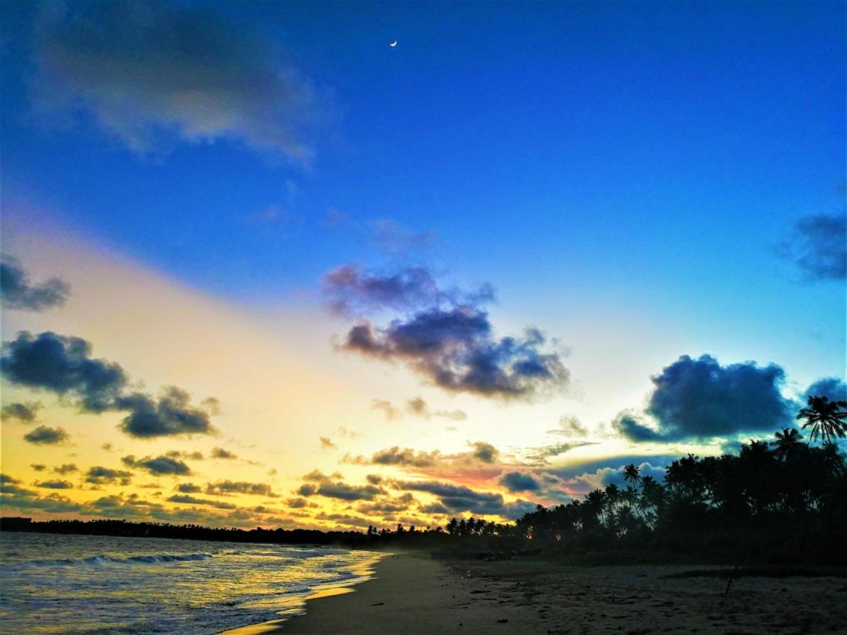 Sleeping Elephant Beach Resort Tangalle Zewnętrze zdjęcie